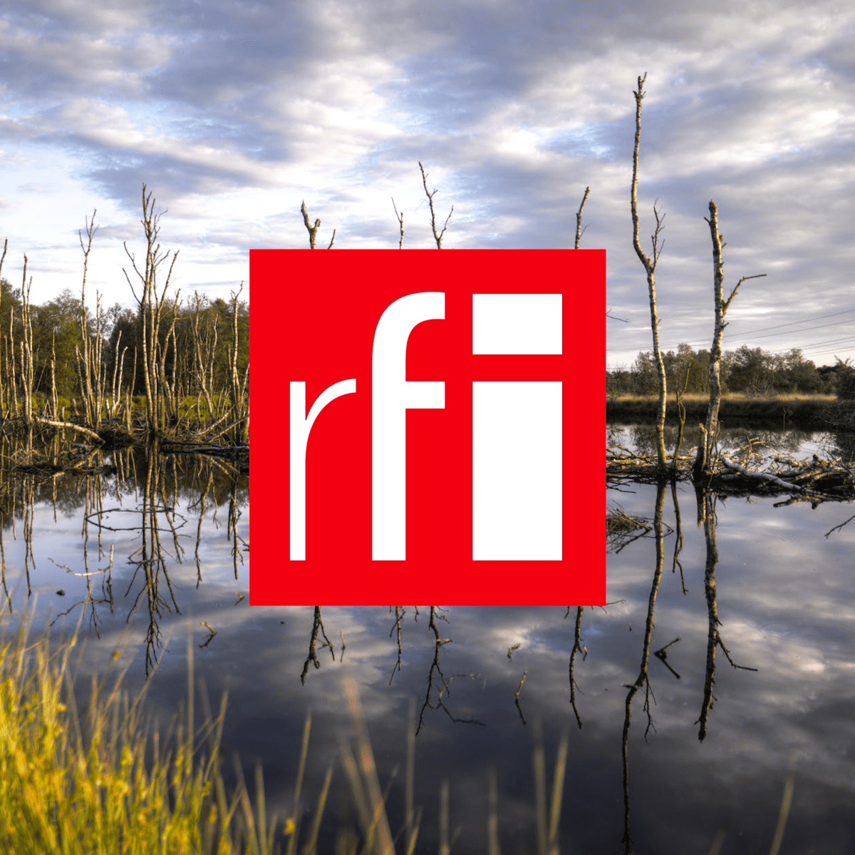 Climax: how to create a wake-up call on ecological&nbsp;emergencies?