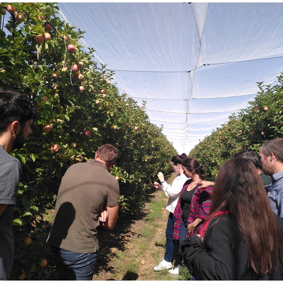 Watershift partnership meeting in french Pink Lady&nbsp;orchards